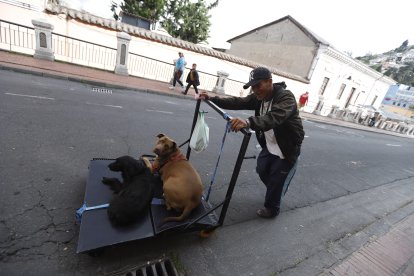 Carlos recorre todos los días las calles del Centro Histórico de Quito junto a sus dos canes.