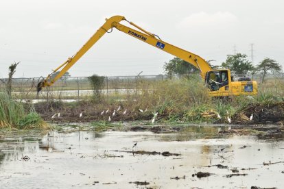 La maquinaria labora en la zona en riesgo ambiental.