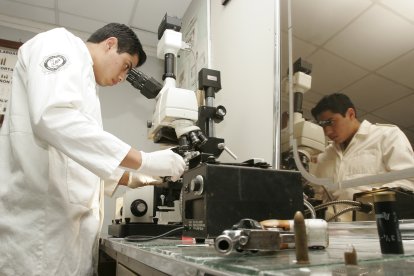 Peritos de Criminalística inspeccionarían los indicios recogidos en la escena del delito.