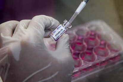 Se estima para principios del 2021 una vacuna que proteja a la población.