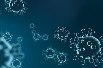 Según el reciente estudio, la vida acuática puede estar en peligro porque el COVID-19 bordea los 30 días de existencia en el agua.