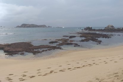 Los usuarios en redes sociales reportaron la situación en las playas mexicanas.