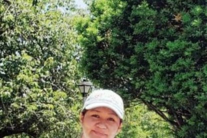 Nancy Titu fue embestida mientras sacaba alimentos de su vehículo, en Queens.