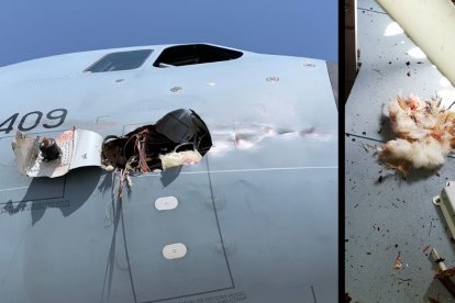Imágenes en las que se aprecia cómo quedaron el avión y el ave tras el choque en pleno vuelo.