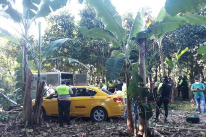 Los fallecidos fueron a parar a una plantación de palmeras.