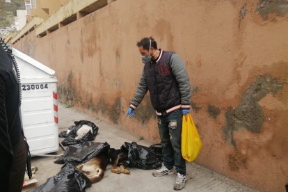 Desde la noche del domingo 28 de junio se reportó de los animales muertos.