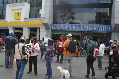 Afectados por ‘perricidio’ denunciaron el hecho en la Fiscalía de Ambato.