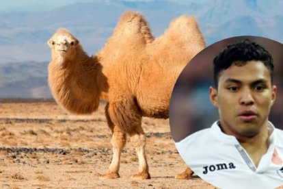 Jefferson Montero se va al fútbol de Medio Oriente.