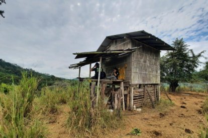 Los agentes localizaron al sospechoso en una cabaña.