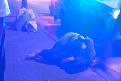 El cadáver fue encontrado sin ningún tipo de vestimenta y estaba con partes de su cuerpo atadas.