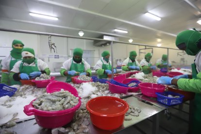 El organismo de control solicitó que se destruyeran los productos. 


Foto: Valentina Encalada

Nota: Lisbeth Zumba



01- MAYO Guayaquil-Ecuador

Agencia (ag-expreso)