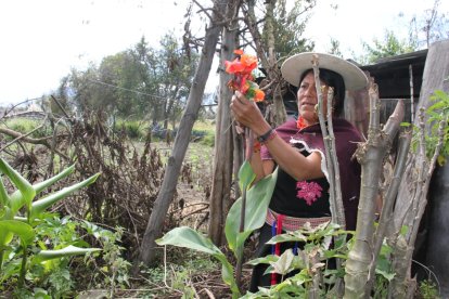 Gloria Chiliquinga sostiene entre sus manos una de las plantas tradicionales que utiliza para limpiar las malas energías del cuerpo.