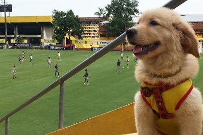 Coloso es la mascota del Ídolo del astillero.