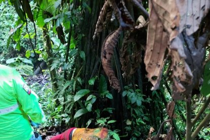 La mujer presentaba dos puñaladas en el costado izquierdo de su cuello.