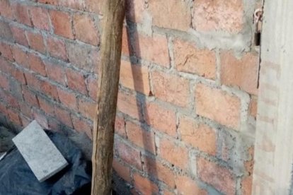 El recién nacido fue hallado a un costado de la vivienda.