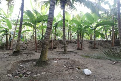 La caída mortal ocurrió la tarde de ayer miércoles 22 de julio, en el sitio Paquisha.
