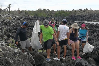 En Puerto Ayora se han organizado brigadas de limpieza.