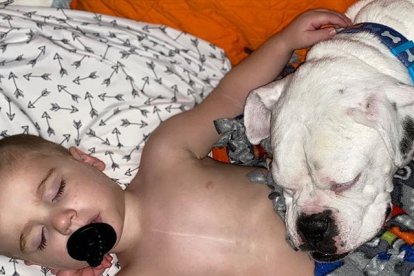 Las siestas no existen si uno no está cerca del otro.