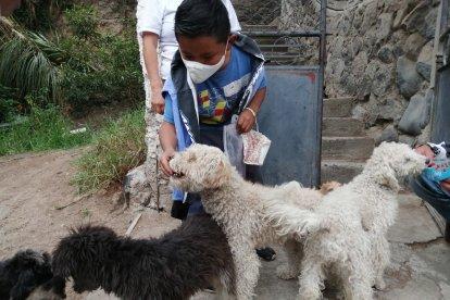 Borracha, Enano, Papis, Bolita, Topi, Bolo, Nena, Saya y Gudis son sus perros