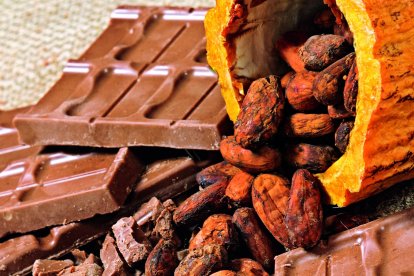  Ecuador es el mayor productor de cacao fino de aroma. 