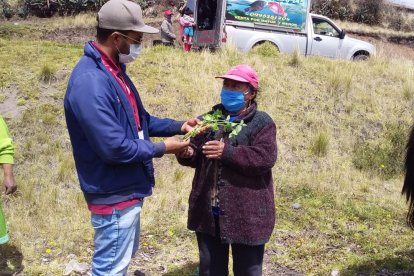 Las comuneras recibieron arbolitos frutales para alimentar a sus familias.