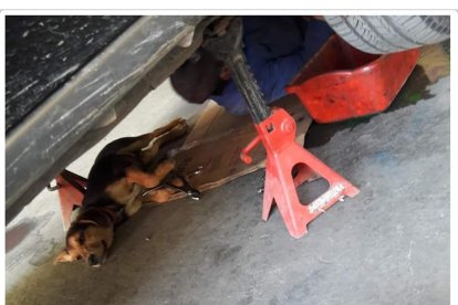 A Jack le gustaba ver como Jhon arreglaba los motores.