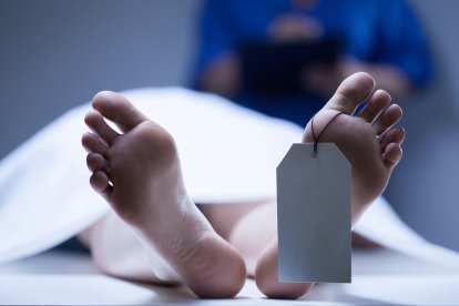 La policía buscaba indicios de estos homicidios reportados en una finca.