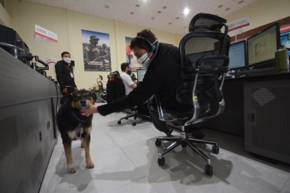 La mascota camina por todas las dependencias de la institución. Los trabajadores lo cuidan.