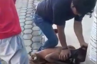 1. Los moradores salieron a ayudar a los afectados y golpearon al delincuente por más de media hora.