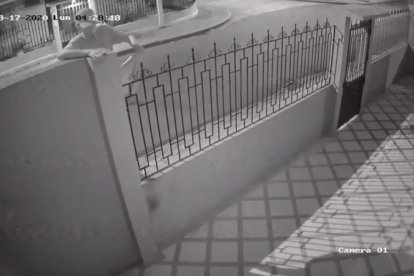 El momento del atraco, ocurrido la madrugada del lunes, quedó captado por una cámara de seguridad del sector.