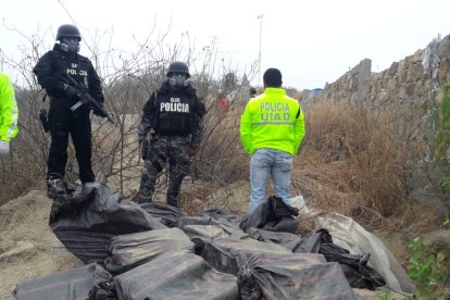 Parte del alcaloide que hallaron los agentes en una fosa de la playa de San Mateo.