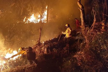 Los incendios forestales, en Loja, habrían sido provocados por la mano del hombre.