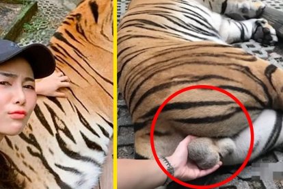 ¿Valentía o estupidez? La polémica empezó en redes sociales. La mayoría se decantó por lo segundo.