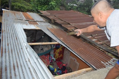 El animal desprendió unas hojas de zinc y se metió con todo a la casa.