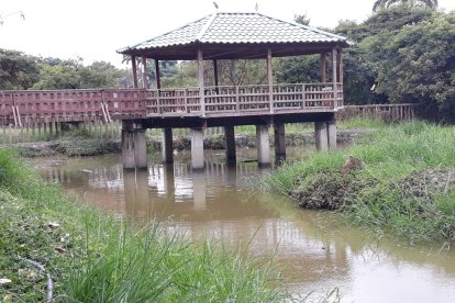 Los comuneros limpiaron el estanque donde yacen los reptiles.