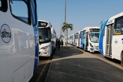 Hecho. Los buses se han concentrado esta mañana en en los exteriores del ingreso principal del Puerto Marítimo.