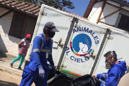 Los animalitos quedaron regados por las calles de ese barrio.