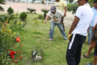 Unos pobladores se asustaron con el inusual hallazgo.