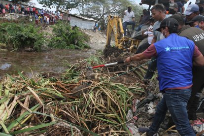 Momentos en que personal de Medio Ambiente retiraba un caimán de la laguna.