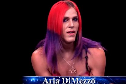 Aria DiMezzo protestó contra el sistema político entrando al sistema político.