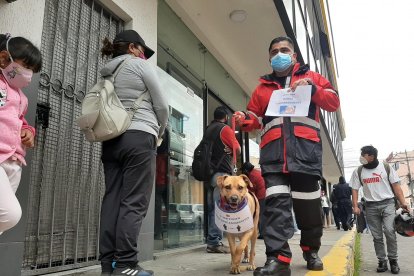La gente se emociona el verlo. Los niños quieren tocarlo y tomarse fotografías.