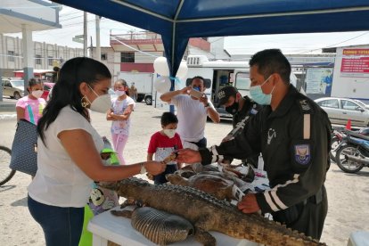 Los stands llamaron la atención del público que quería conocer el trabajo de la Policía