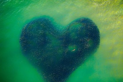 Foto que ganó el primer lugar general en los Drone Photo Awards Foto: Reproducción / Facebook