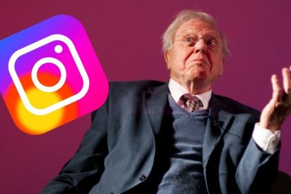 Sir David Attenborough, un prestigioso divulgador y científico inglés, obtuvo un gran récord en Instagram.