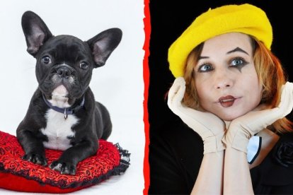 ¿Perro o payaso? El nuevo reto viral