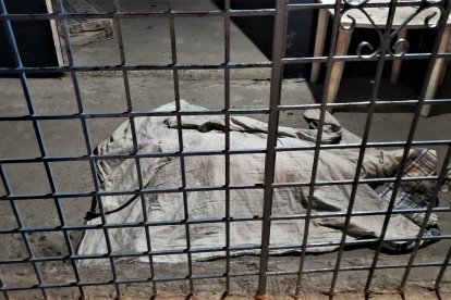 El crimen sucedió en el sector Los Pescados, norte de Machala.