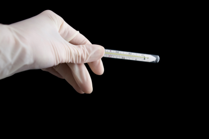 Ni pestes ni plagas han logrado vencer a los guayaquileños.