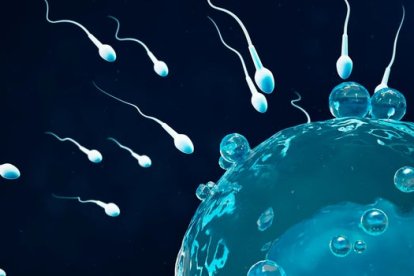 El covid-19 podría afectar la fertilidad en los hombres.