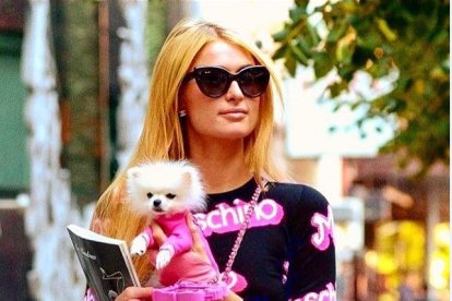 La socialité ama a sus canes con los que siempre viaja.