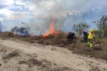 Grandes extensiones de vegetación siguen siendo afectadas por las llamas.